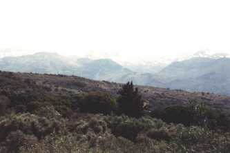 BILD15 NATUR5
